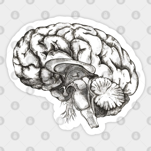 Brain, human anatomy, mind, Mental Health Matters Sticker by Collagedream